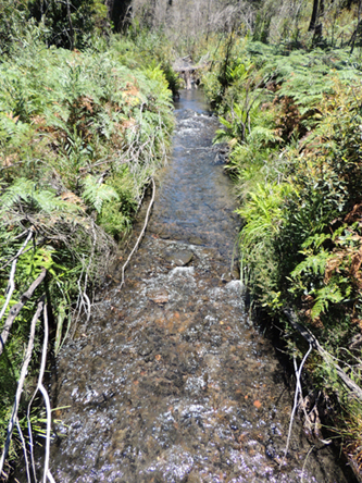  - Wollangambe River